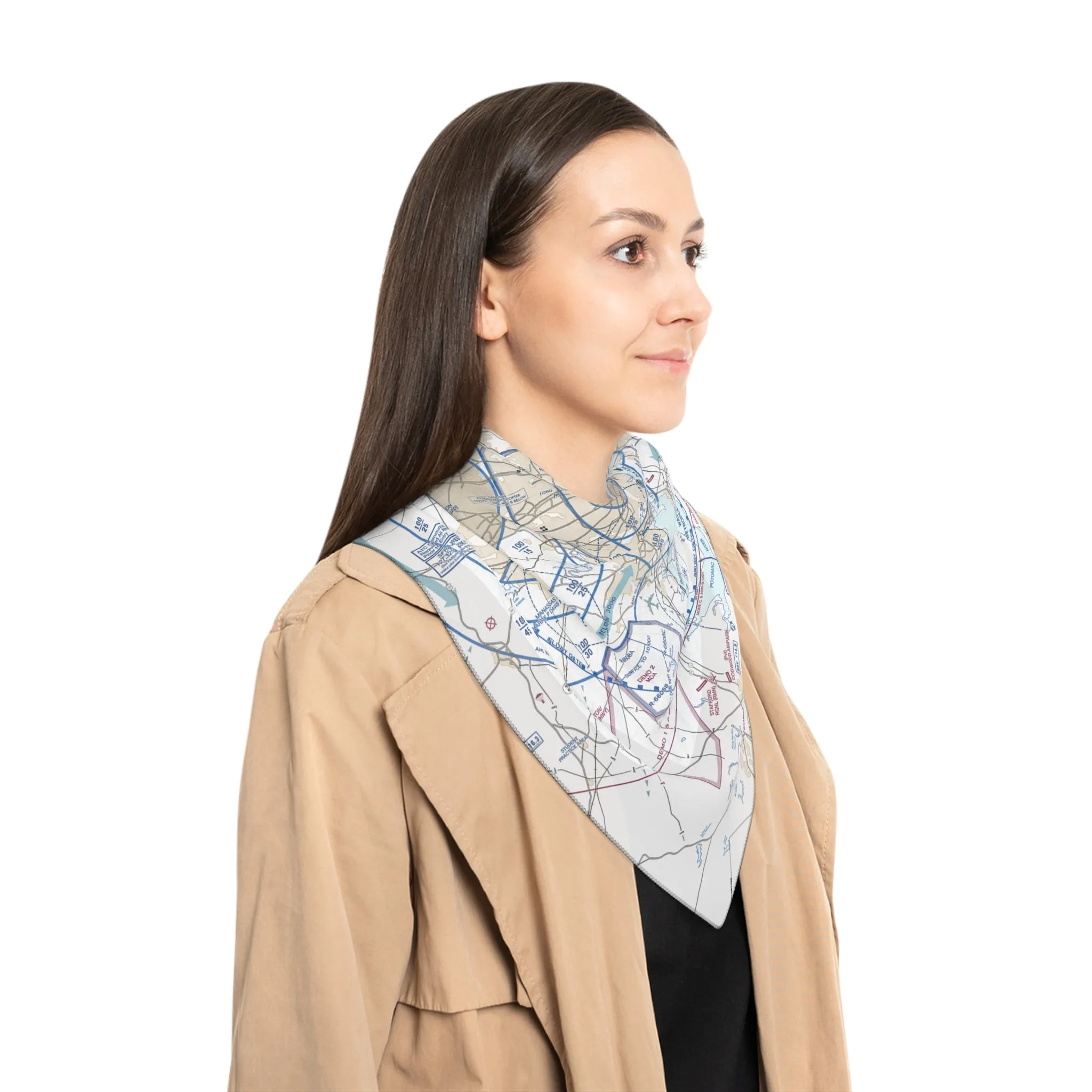 Baltimore-Washington Flyway Chart poly scarf