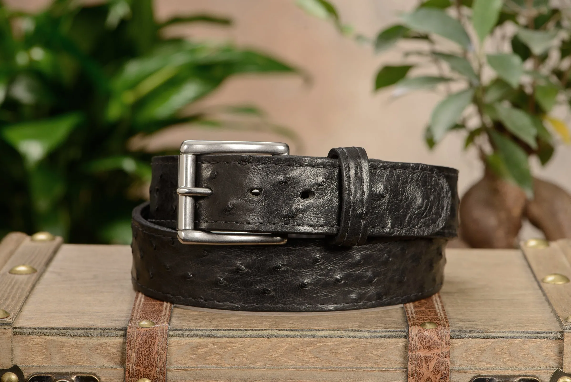 Black South African Ostrich Skin Max Thickness Gun Belt