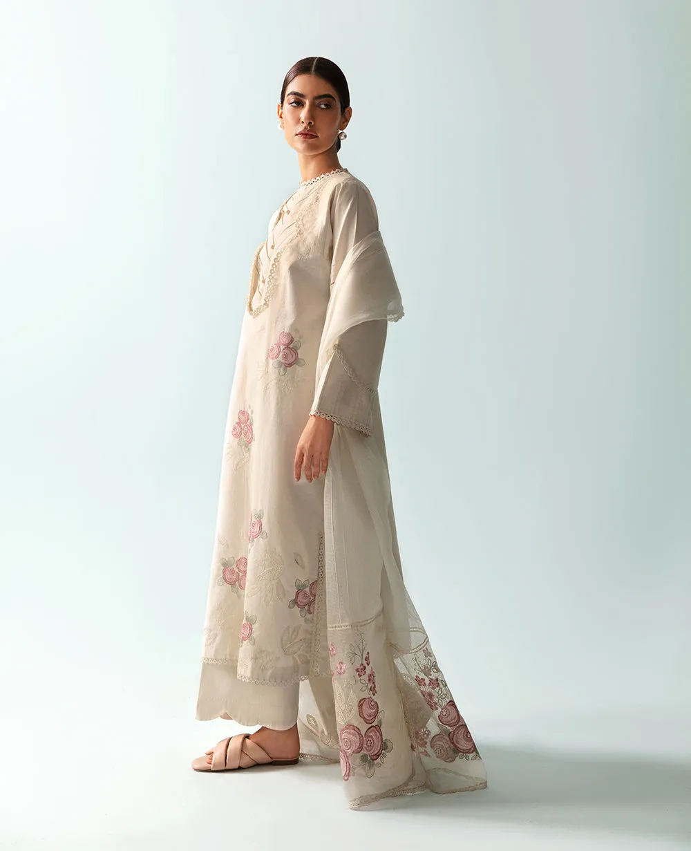 BP-100 || BASICS 23 - V2 || REPUBLIC WOMENSWEAR