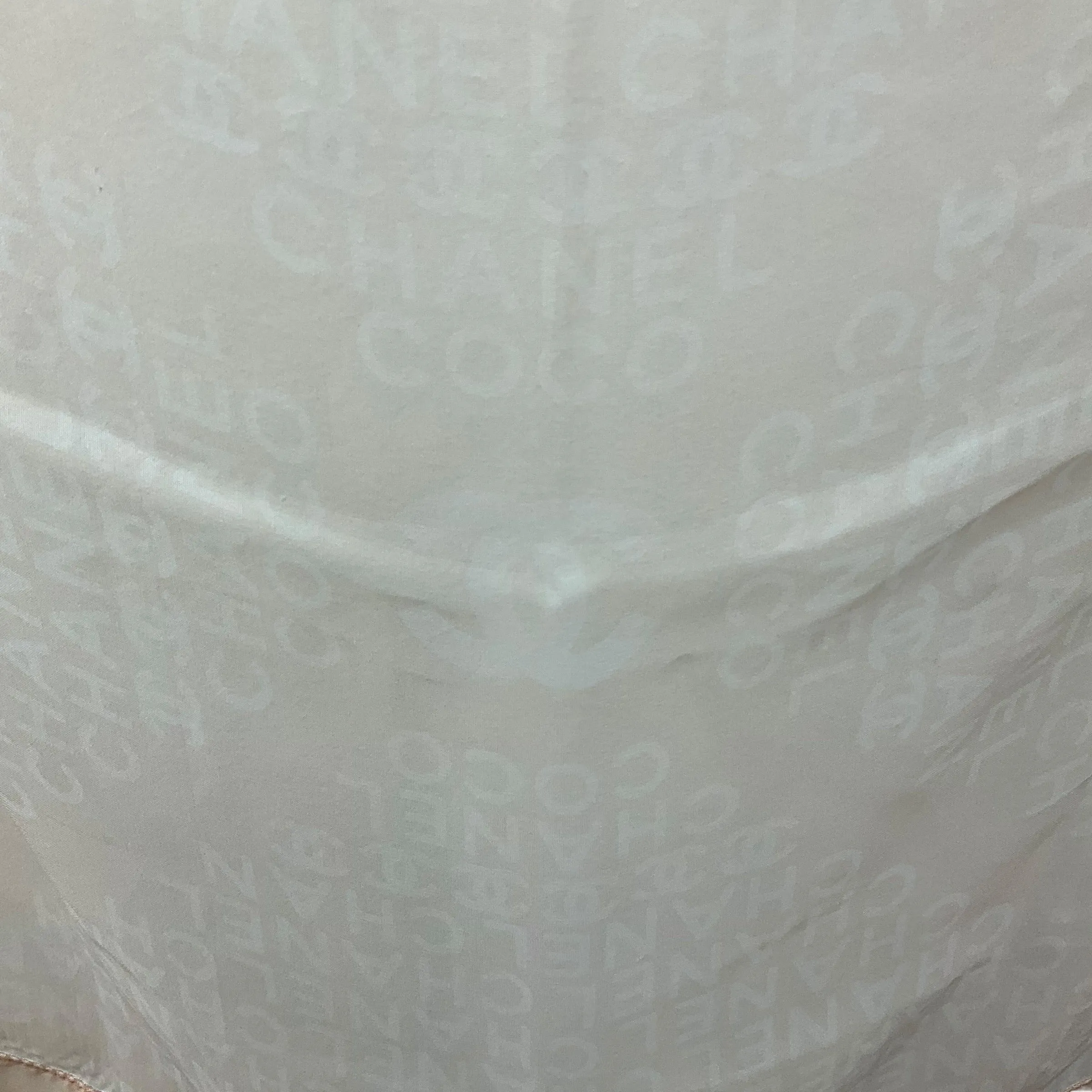 Chanel Sheer Logo Scarf