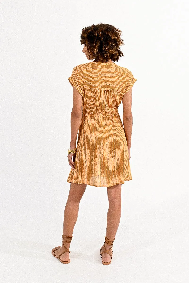 FIT AND FLARE DRESS
