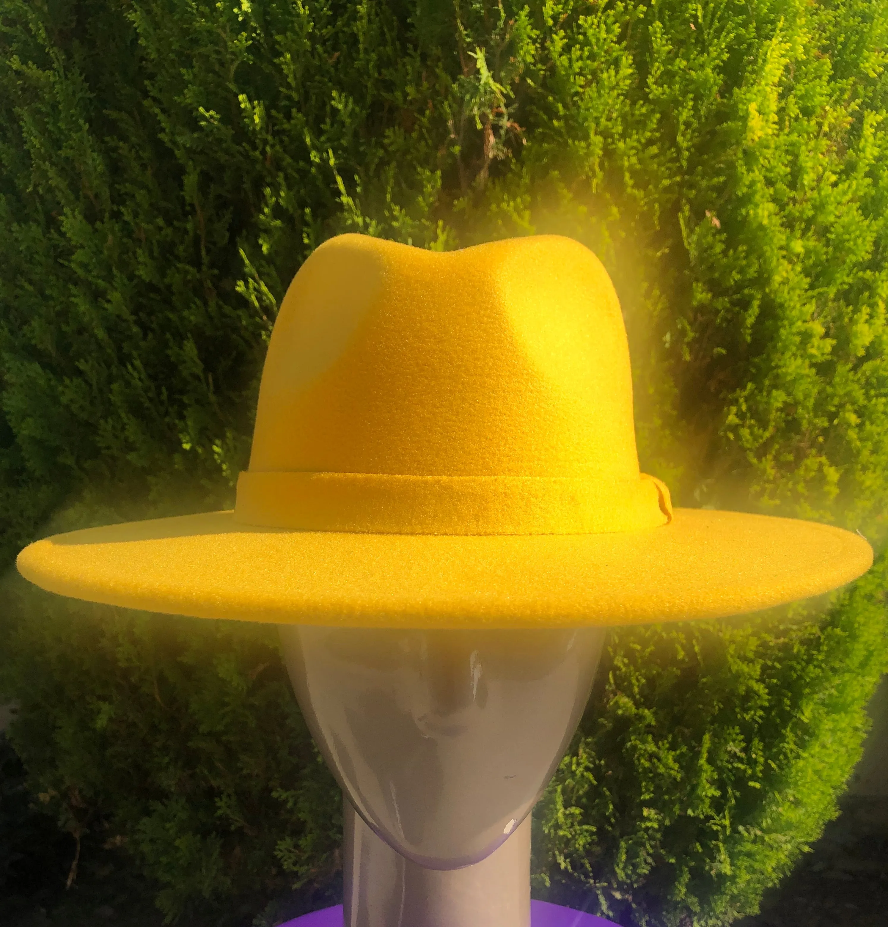 Fly Girl Fedora (5 Colors)