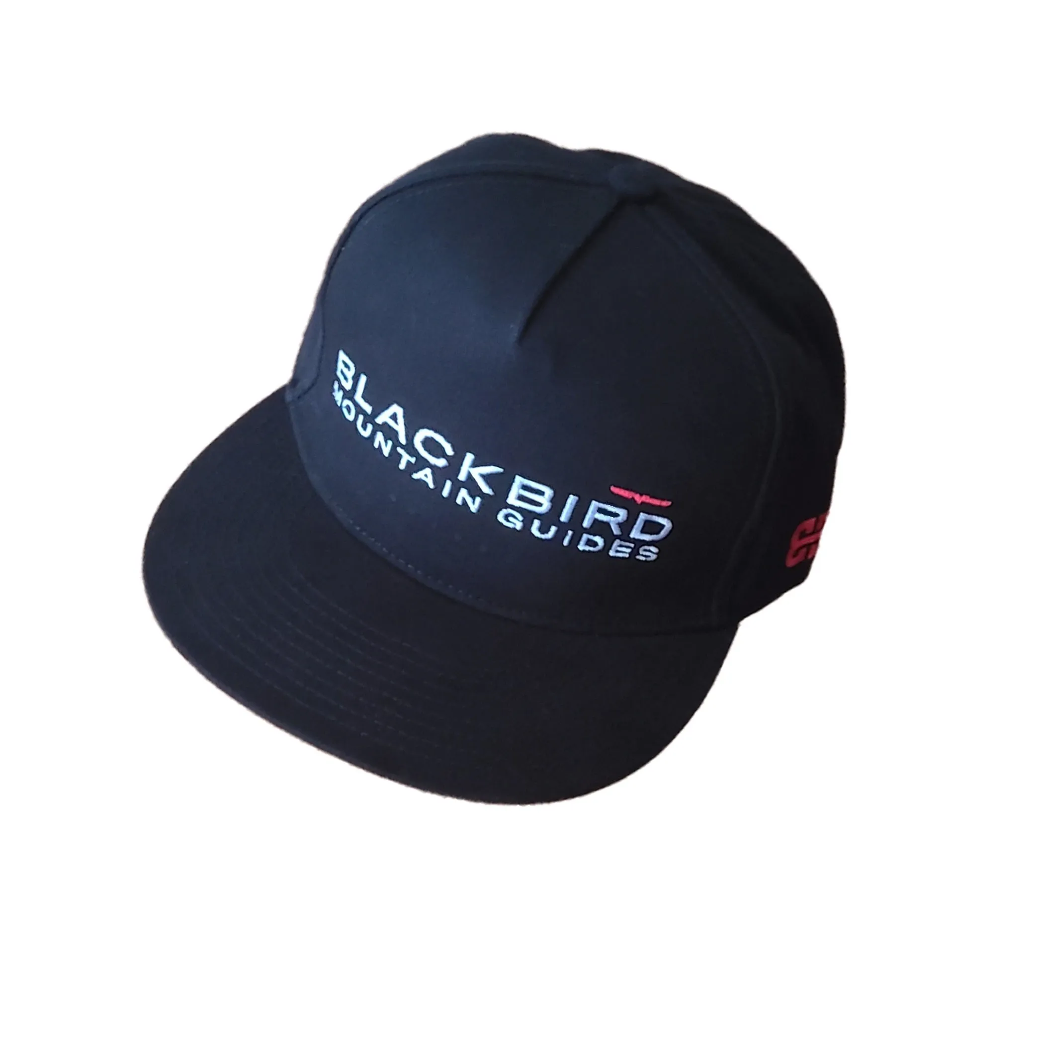 Flylow Cap