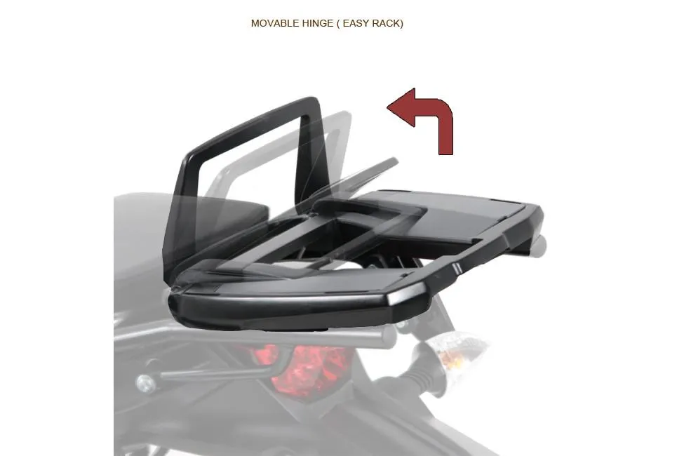 Kawasaki 650 Carrier Topcase - Carrier