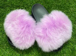 Light Purple Pom