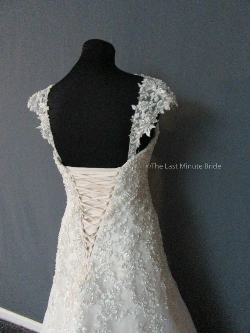 Maggie Sottero Ladonna 6MG173 Size 12