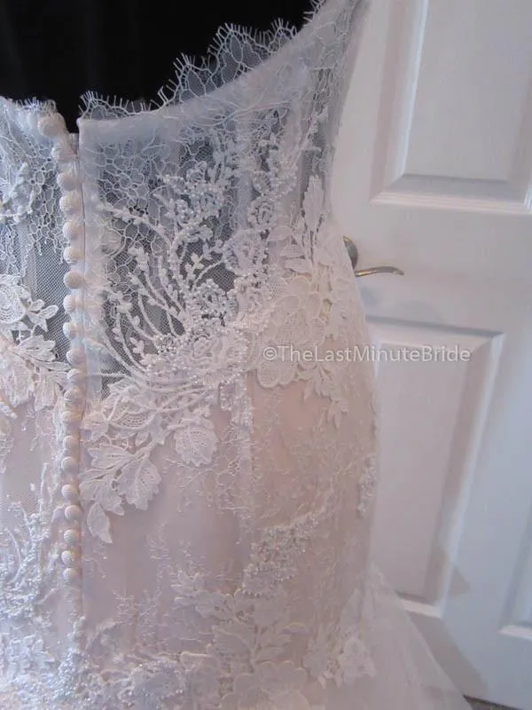 Private Collection Kate 18060 sold out
