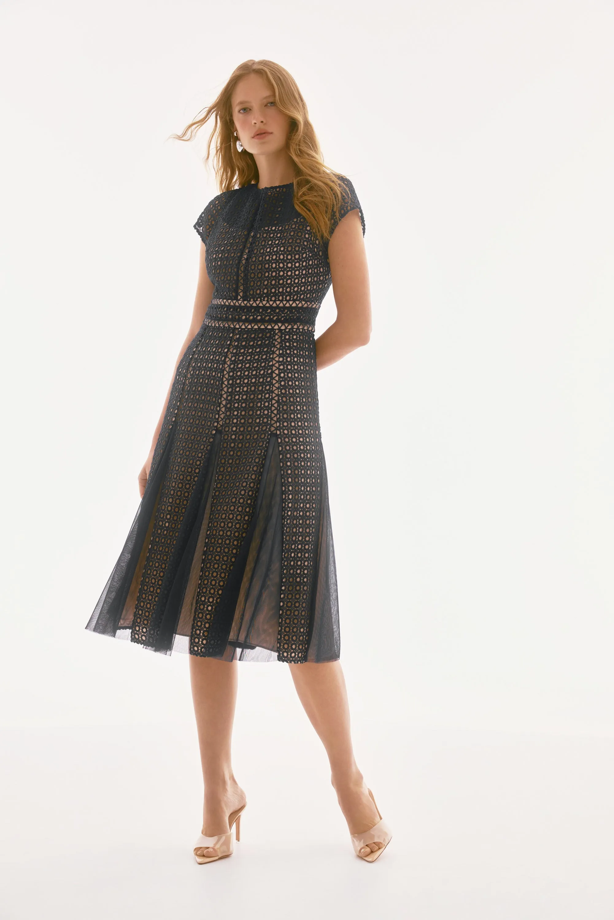 Signature Guipure And Mesh Fit And Flare Dress