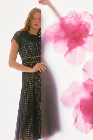 Signature Guipure And Mesh Fit And Flare Dress