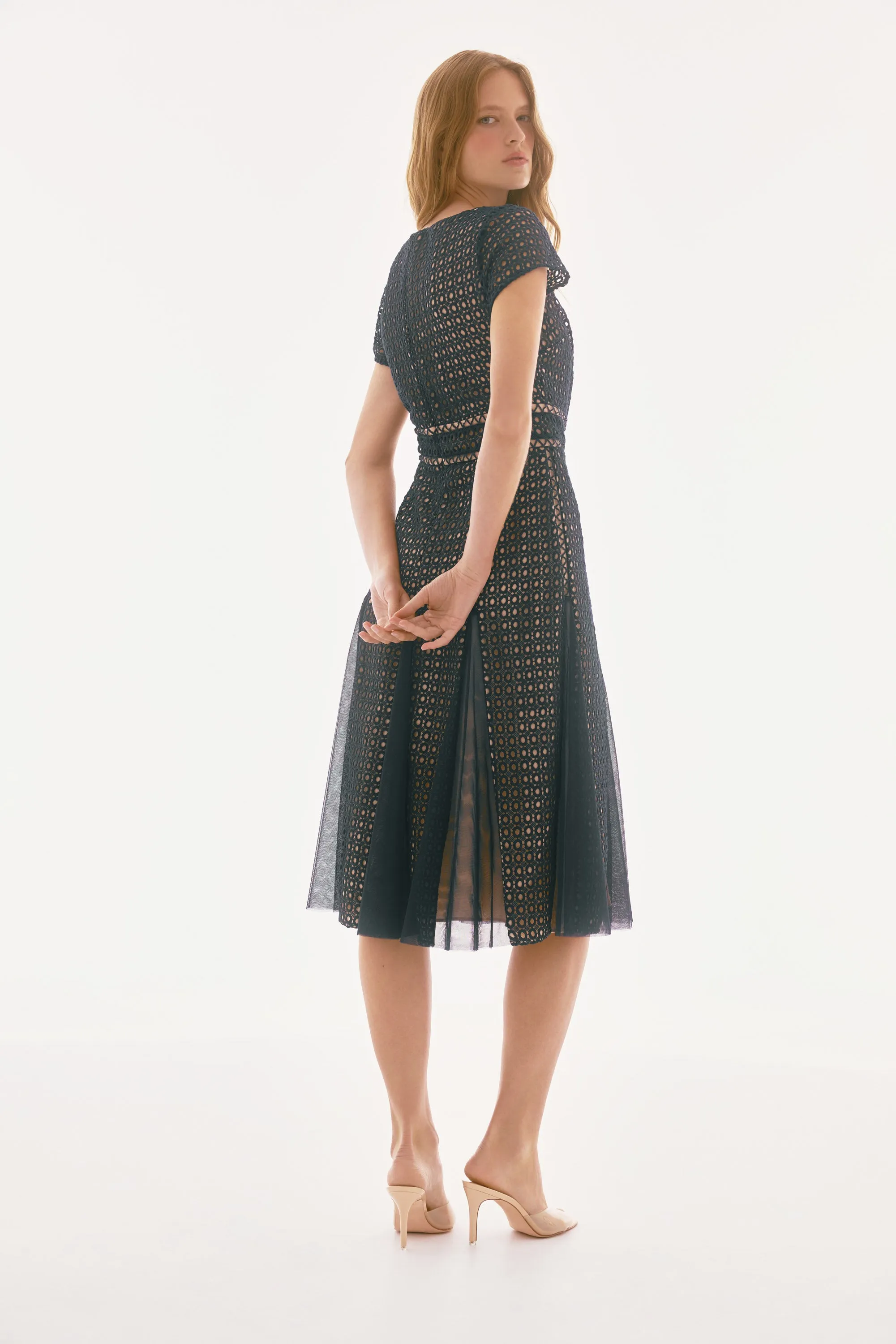 Signature Guipure And Mesh Fit And Flare Dress