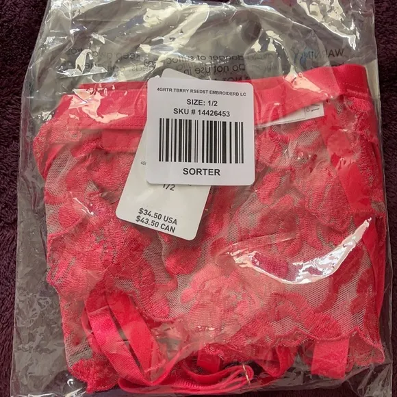 Torrid RASPBERRY PINK MESH GARTER BELT