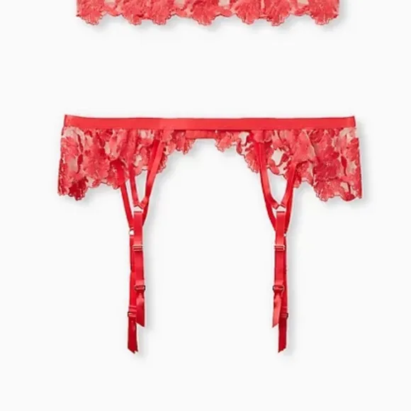 Torrid RASPBERRY PINK MESH GARTER BELT