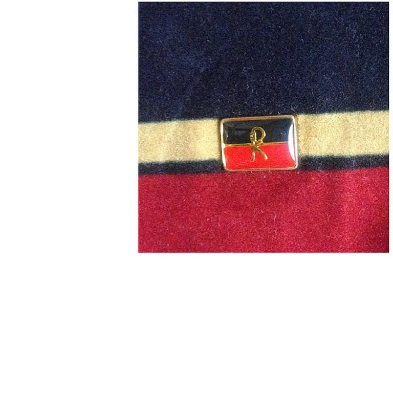 Vintage Roberta di Camerino, Ambassador, red, navy, and beige velvet clutch purse, makeup, cosmetic pouch with golden logo motif.