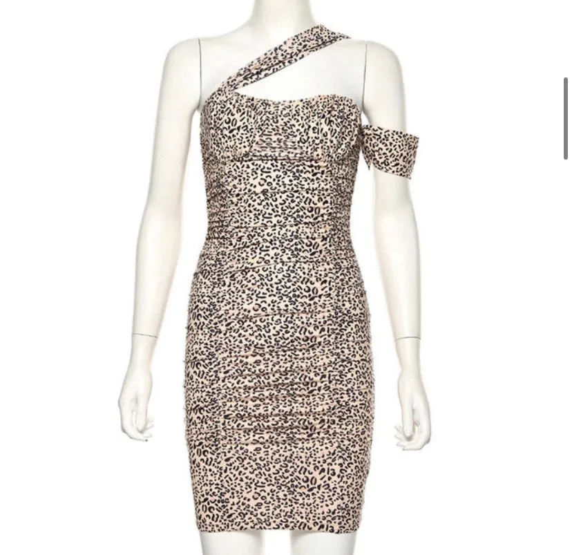Wild Bomb Dress